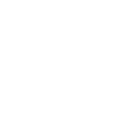 our icon